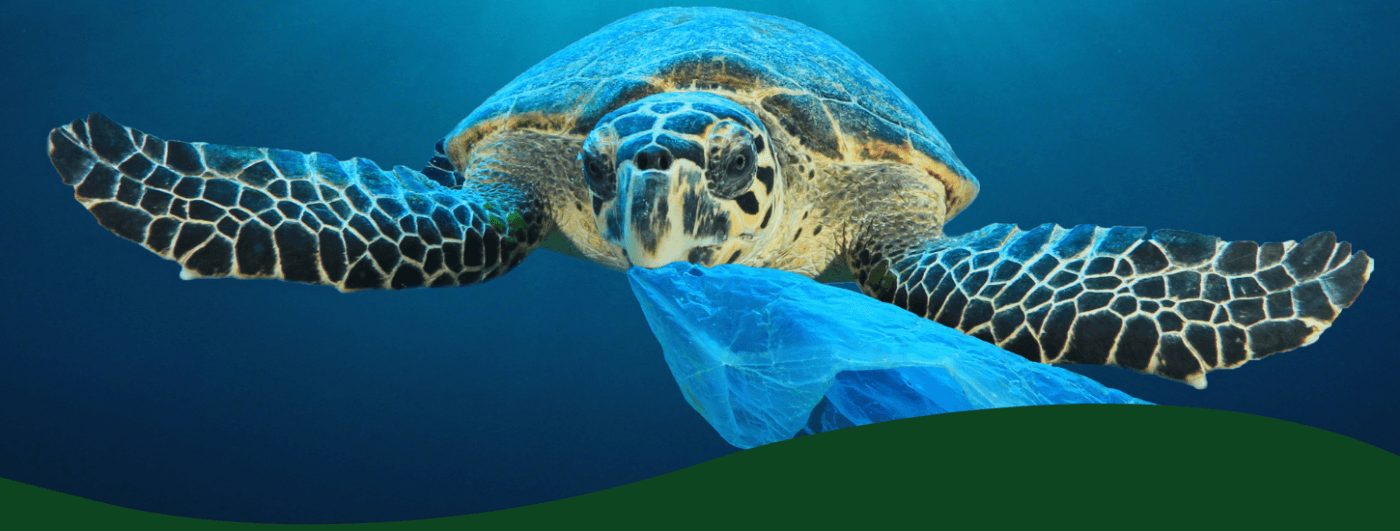 Plastikfrei leben: Die besten Tipps für Familien