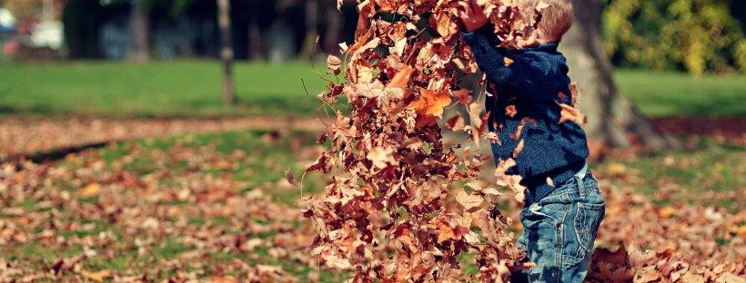 Herbstspaziergang mit Kindern – Wald erleben