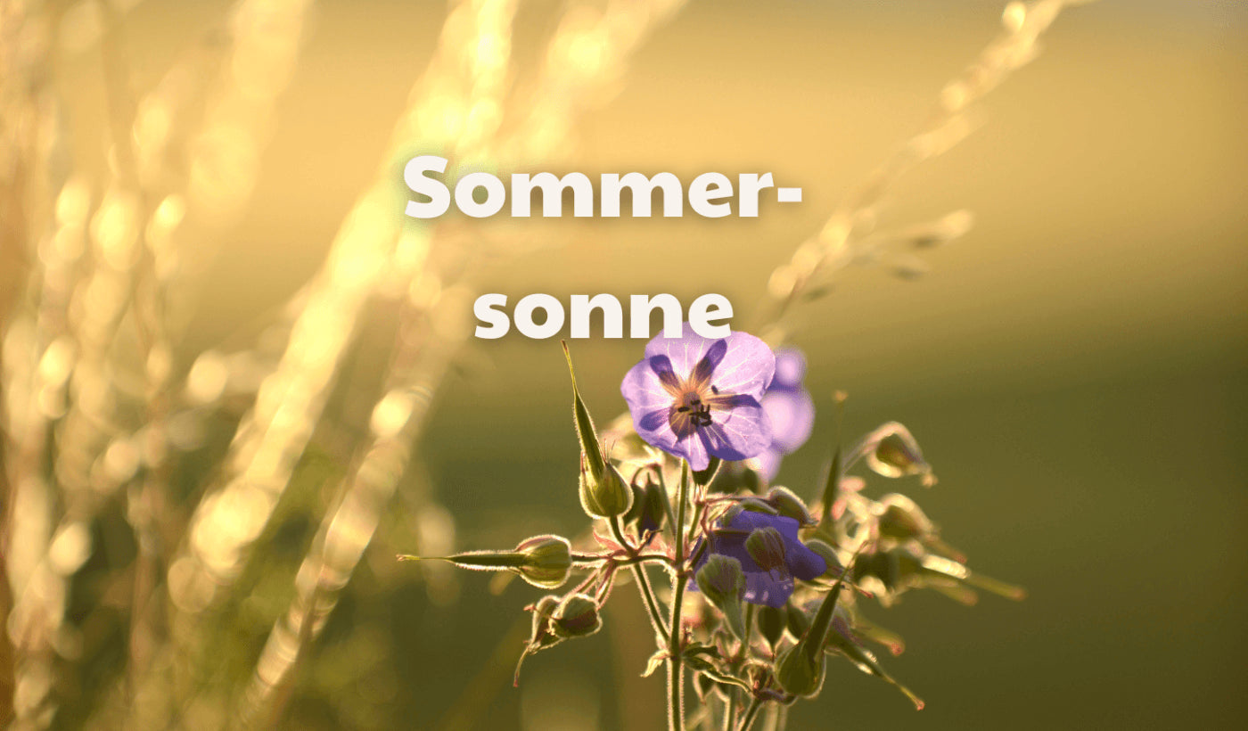 Sommersonne und Immunstärkung: Ein gesunder Familienurlaub in Deutschland